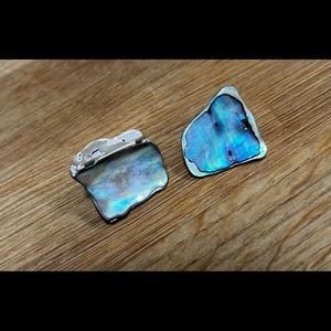 Earrings clip on vintage abalone shell silver tone